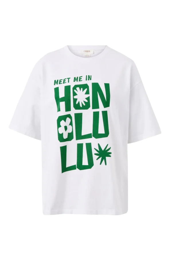 Ceres Boyfriend Tee - Honolulu Winter Green